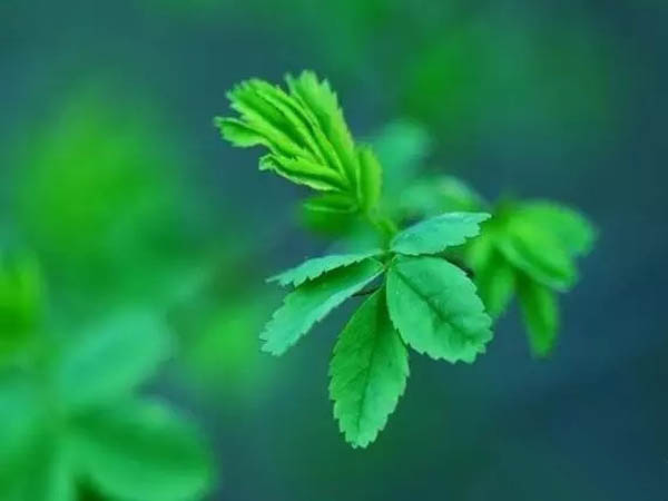 汉字里的廉政文化